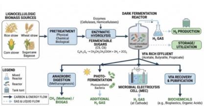 Dark Fermentation of Agricultural Residues for Sustainable Hydrogen Production: Advances and Future Perspectives